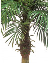 Искусственное растение Phoenix Palm / Пальма Финиковая H150cm NKoop FW