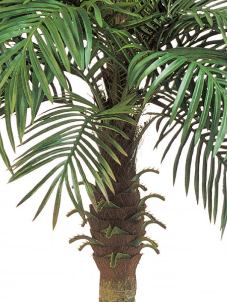 Искусственное растение Phoenix Palm / Пальма Финиковая H150cm NKoop FW