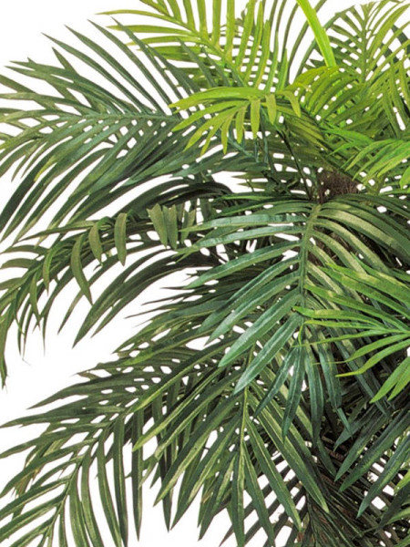 Искусственное растение Phoenix Palm / Пальма Финиковая H150cm NKoop FW