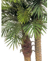 Искусственное растение Phoenix Palm Double / Пальма Финиковая H195cm NKoop FW