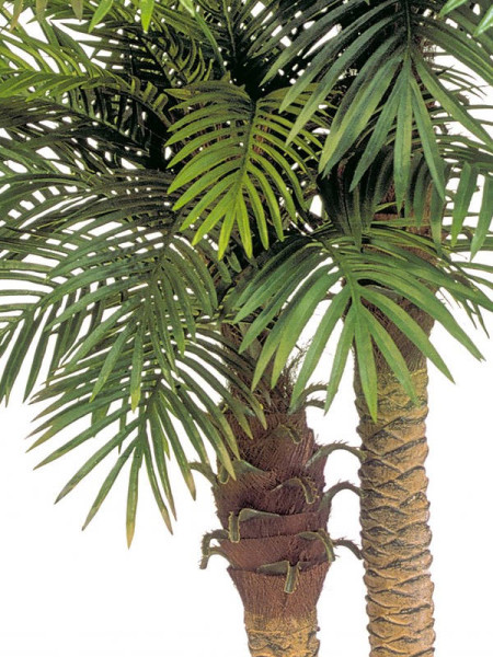 Искусственное растение Phoenix Palm Double / Пальма Финиковая H195cm NKoop FW