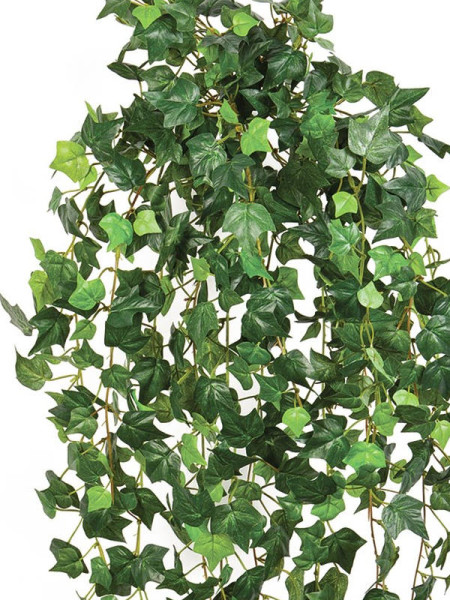 Искусственное растение English Ivy hanging / Циссус (плющ) H85cm NKoop FW