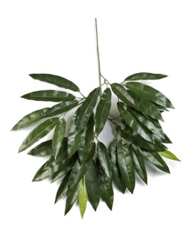 Искусственное растение Mango branch (FR) / Манго ветка H55cm