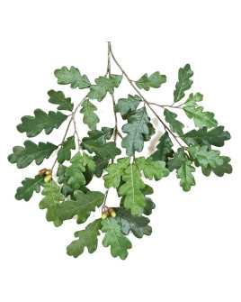 Искусственное растение Oak with Fruits / Дуб ветка H60cm