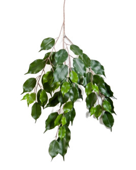 Искусственное растение Ficus Exotica / Фикус ветвь H75cm
