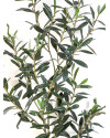 Искусственное растение Olive Giant branch / Олива ветка H109cm NKoop FW