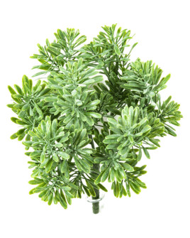 Искусственное растение Dusty Miller Bush Green / Пепельник H18cm