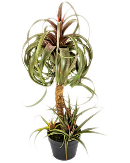 Искусственное растение Tillandsia Streptophylla / Тилландсия Стрептофилла H78cm