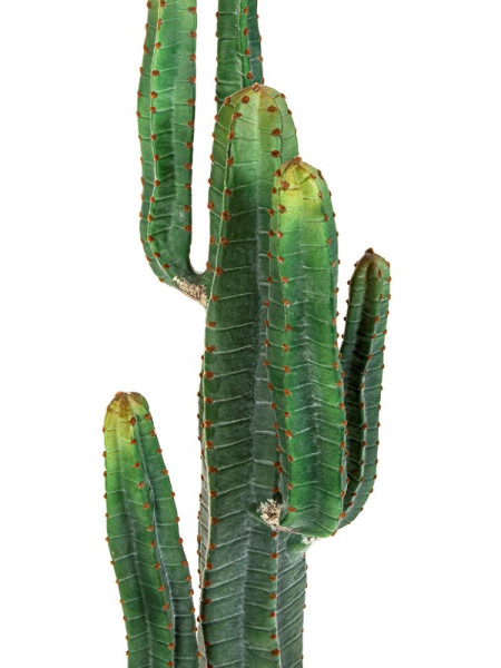 Искусственное растение Cereus Cactus / Цереус кактус H140cm NKoop FW