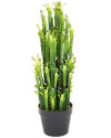 Искусственный кактус Эуфорбия Тригона H64cm NKoop FW