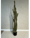 Искусственное растение Columnar Cactus / Кактус H150cm NKoop FW