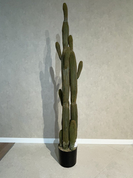 Искусственное растение Columnar Cactus / Кактус H150cm NKoop FW