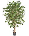 Искусственный Фикус Экзотика De Luxe H150cm NKoop FW
