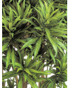 Искусственное растение Dracaena Reflexa Jamaica / Драцена Рефлекса Ямайка H150cm NKoop FW