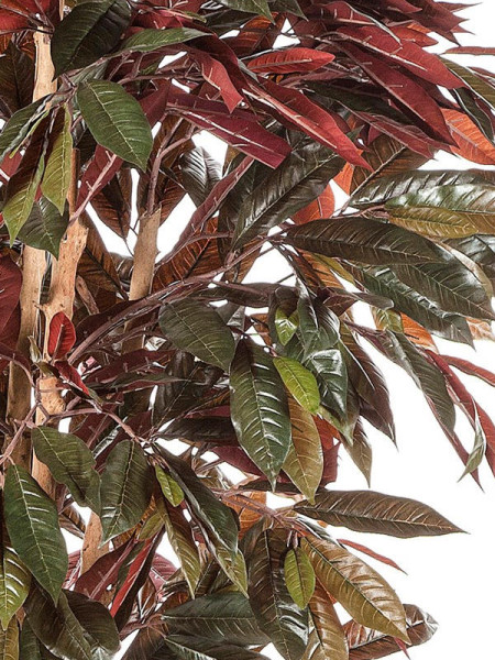 Искусственное растение Capensia Bush Tree / Капенсия H180cm NKoop FW