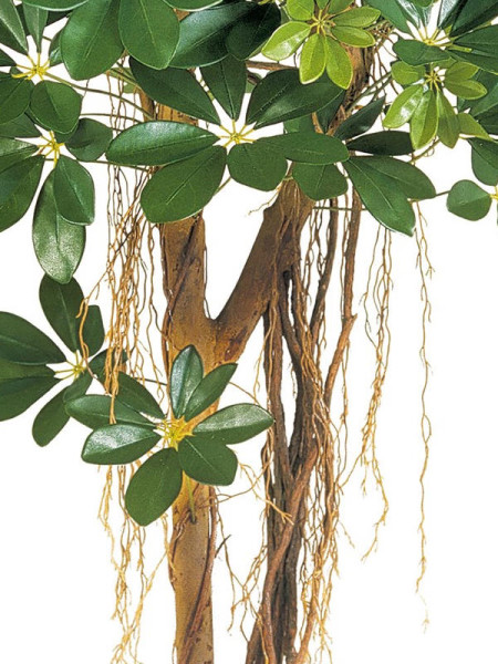 Artificial Plant Natural Schefflera Umbrella H110cm NKoop FW