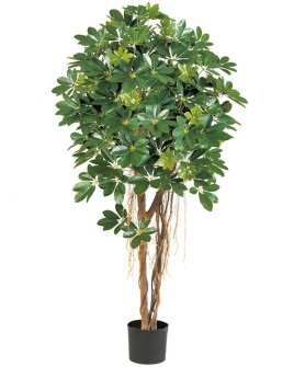 Artificial Plant Natural Schefflera Umbrella H170cm