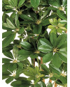 Artificial Plant Schefflera Natural H80cm NKoop FW