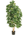 Artificial Plant Schefflera Natural H80cm NKoop FW