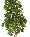 Искусственное растение Schefflera Natural / Шеффлера Натуральная пёстрая H80cm NKoop FW