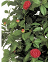 Artificial Plant Camelia Vine Tree Pink H180cm NKoop FW