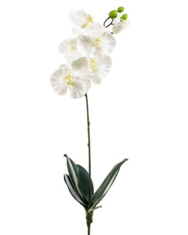 Artificial Plant Orchid Phalaenopsis large white H60cm
