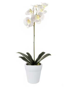 Artificial Plant Orchid Phalaenopsis white H55cm