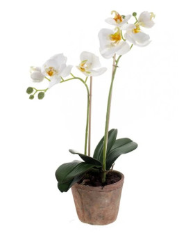 Artificial Plant Orchid Phalaenopsis white H42cm