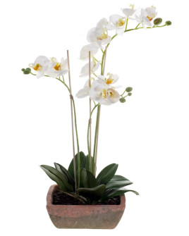 Artificial Plant Orchid Phalaenopsis white H50cm