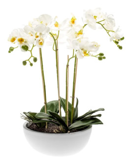 Artificial Plant Orchid Phalaenopsis white H60cm