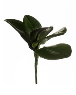 Artificial Plant Orchid Phalaenopsis leaves H25cm