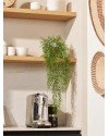 Искусственное растение Jasmin Mini bush hanging / Жасмин H80cm NKoop EEG