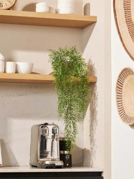 Искусственное растение Jasmin Mini bush hanging / Жасмин H80cm NKoop EEG