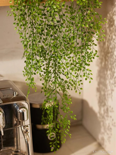 Искусственное растение Jasmin Mini bush hanging / Жасмин H80cm NKoop EEG