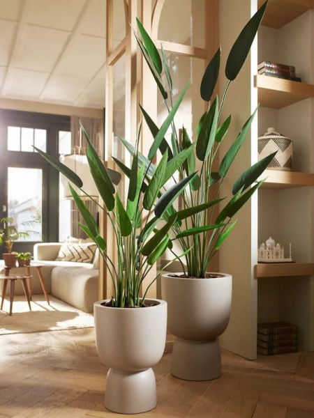 Artificial Plant Heliconia H175cm NKoop EEG
