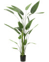 Artificial Plant Heliconia H175cm NKoop EEG