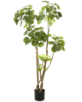 Искусственное растение Polyscias / Полисциас H135cm