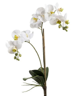 Artificial Plant Orchid Phalaenopsis white H65cm