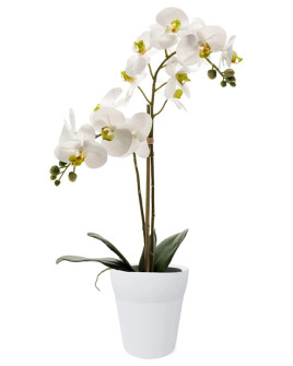 Artificial Plant Orchid Phalaenopsis white H65cm