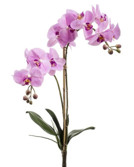 Artificial Plant Orchid Phalaenopsis Pink H65cm