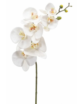 Artificial Plant Orchid Phalaenopsis White H83cm