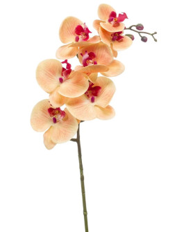 Artificial Plant Orchid Phalaenopsis Peach H83cm