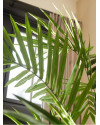 Искусственное растение Palm Areca / Пальма Арека H240cm NKoop EEG