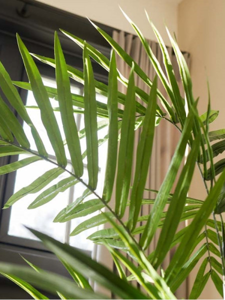 Искусственное растение Palm Areca / Пальма Арека H240cm NKoop EEG
