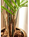 Искусственное растение Palm Areca / Пальма Арека H240cm NKoop EEG