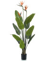 Искусственное растение Strelitzia Tree / Стрелиция H120cm NKoop EEG