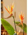 Искусственное растение Strelitzia Tree / Стрелиция H120cm NKoop EEG