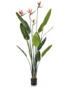 Искусственное растение Strelitzia Tree / Стрелиция H150cm NKoop EEG
