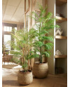 Искусственное растение Palm Chamaedorea / Пальма Хамедорея H120cm NKoop EEG