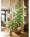 Искусственное растение Palm Chamaedorea / Пальма Хамедорея H180cm NKoop EEG